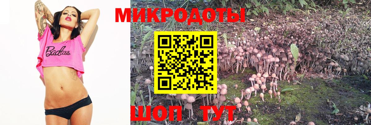 Псилоцибиновые грибы Psilocybine cubensis Кузнецк