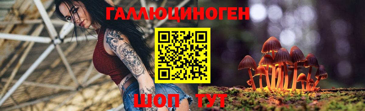 Кузнецк  Псилоцибиновые грибы Psilocybine cubensis  Вход с VPN 